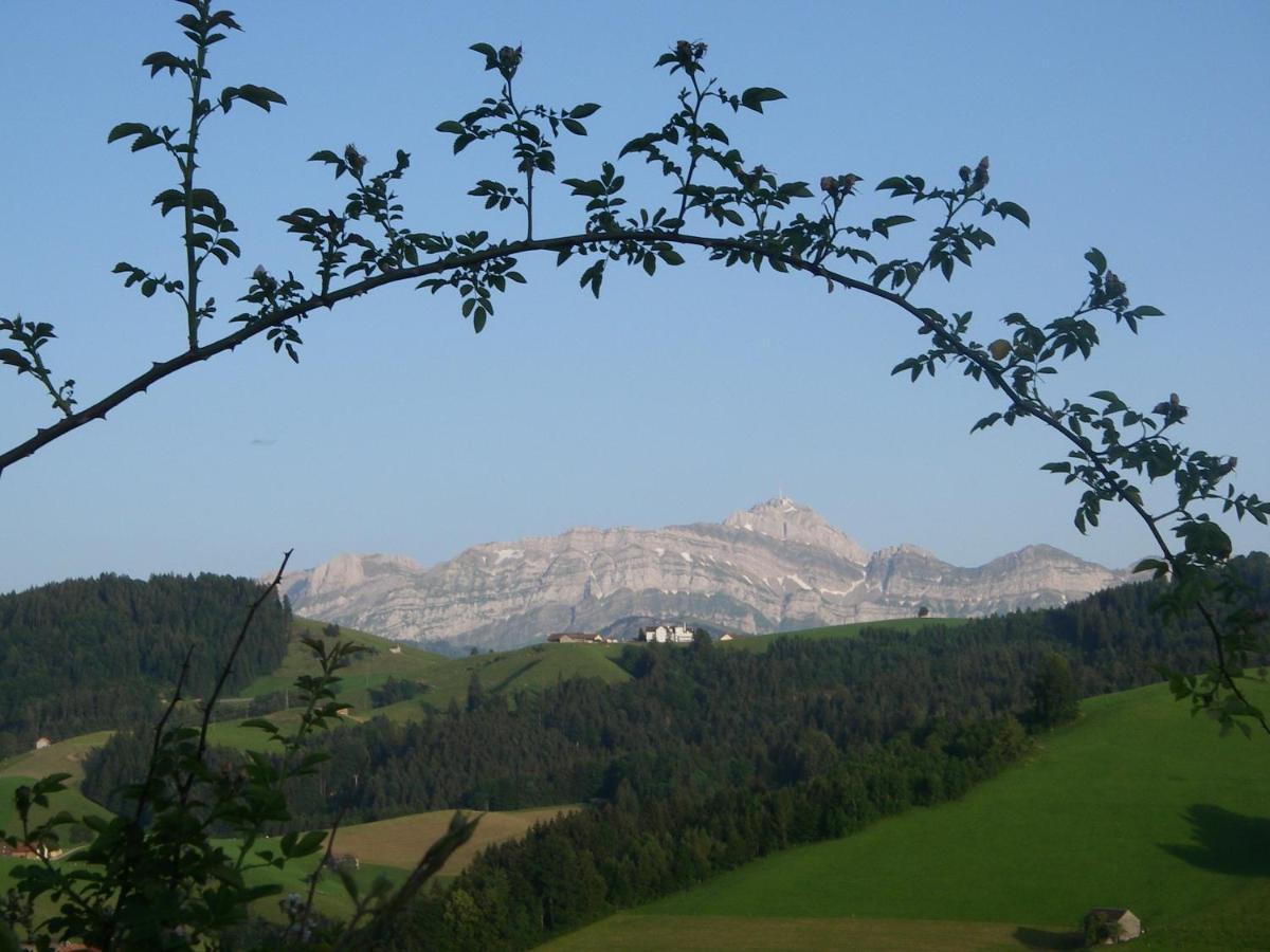 Schwellbrunn,Ferienwohnung Mit Saentissicht المظهر الخارجي الصورة